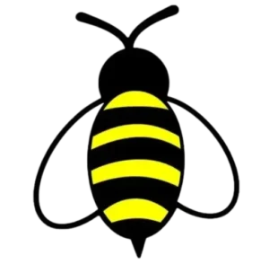 BeeTV